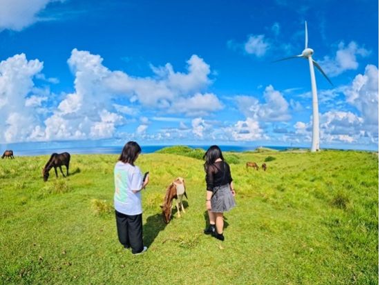 島内ツアー 島在住のガイドと巡るレンタカー・バス移動不要のお手軽ツアー お写真無料プレゼント！＜半日／送迎付き／与那国島＞
