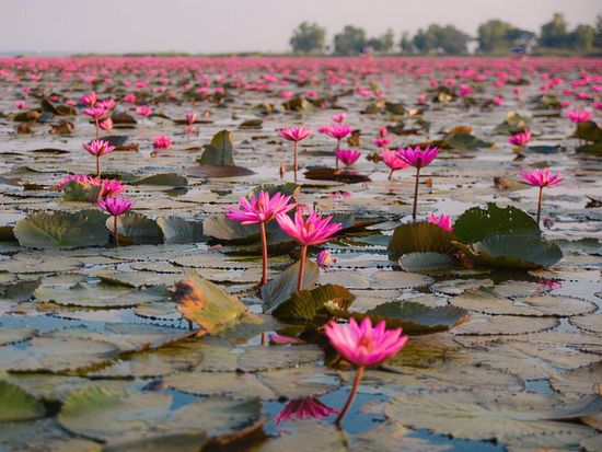 16665260_1663737360319887_24534770894004111_o