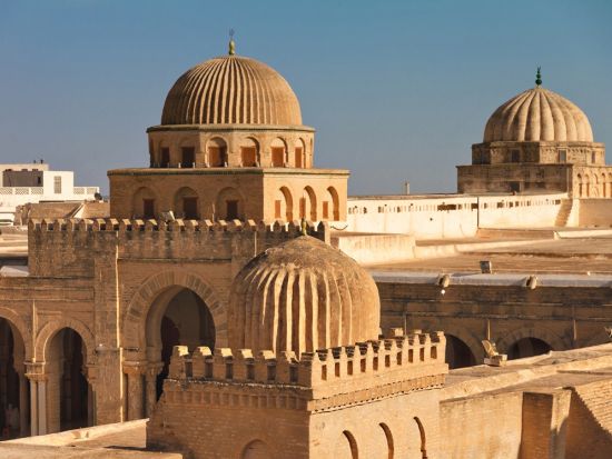 【世界遺産】ケロアン＋エル・ジェム1日ツアー＜混載／英語ガイド／昼食／入場料込／チュニス発＞