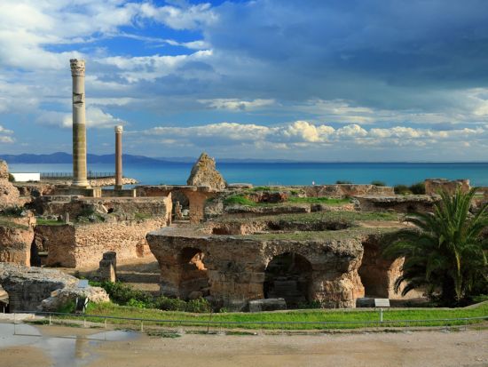 世界遺産カルタゴ遺跡＋シディ・ブ・サイド＋メディナ1日ツアー＜混載／英語ガイド／昼食／入場料込／チュニス発＞