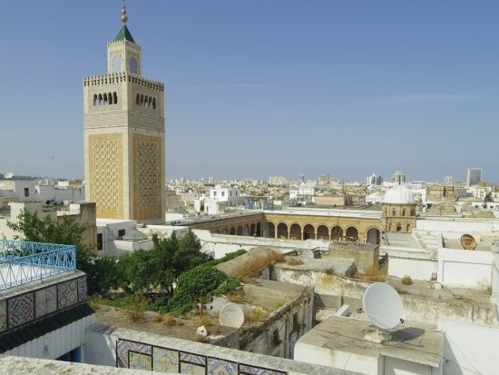 世界遺産カルタゴ遺跡＋シディ・ブ・サイド＋メディナ1日ツアー＜混載／英語ガイド／昼食／入場料込／チュニス発＞