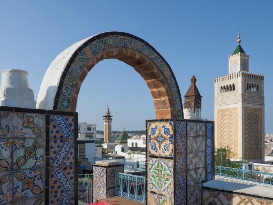 世界遺産カルタゴ遺跡＋シディ・ブ・サイド＋メディナ1日ツアー＜混載／英語ガイド／昼食／入場料込／チュニス発＞