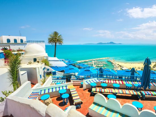 世界遺産カルタゴ遺跡＋シディ・ブ・サイド＋メディナ1日ツアー＜混載／英語ガイド／昼食／入場料込／チュニス発＞