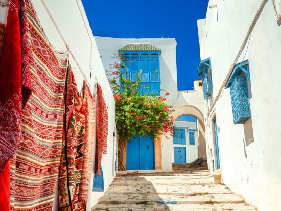 世界遺産カルタゴ遺跡＋シディ・ブ・サイド＋メディナ1日ツアー＜混載／英語ガイド／昼食／入場料込／チュニス発＞