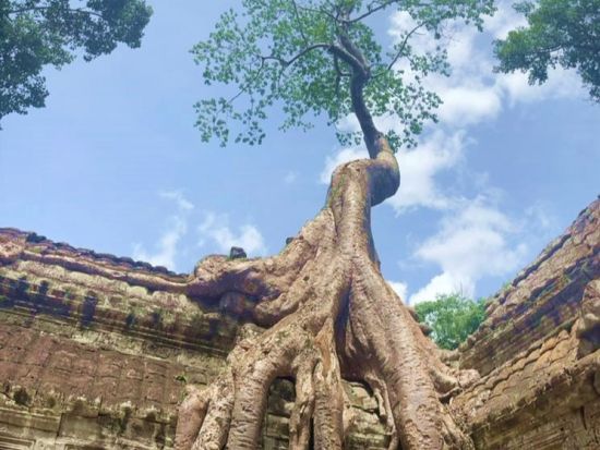 アンコールワット3大遺跡観光ツアー　選べる朝日夕日鑑賞＜英語ガイド＞
