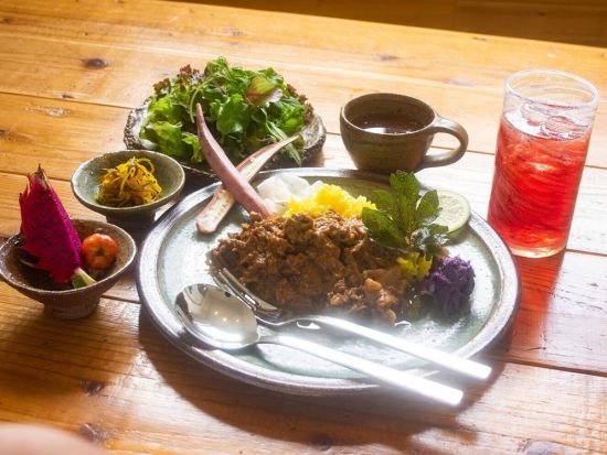 【ゆいゆい国頭発】EVバス「やんばる黄金（くがに）号」で巡るエコツアー！やんばるの森をガイド付きでご案内 ＜ランチ付プランあり／4歳～OK／沖縄北部＞