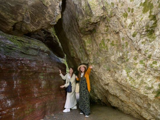 貸切観光タクシー 奇跡の清流・仁淀川を訪ねる旅 安居渓谷＋中津渓谷＜高知市内発着＞