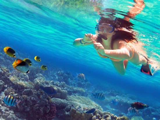 ニャチャン郊外1日観光ツアー　ガンニャイビーチ＆ニンヴァン漁村＆ニンディエム塩田＜日本語ガイド／昼食付き／ニャチャン発＞