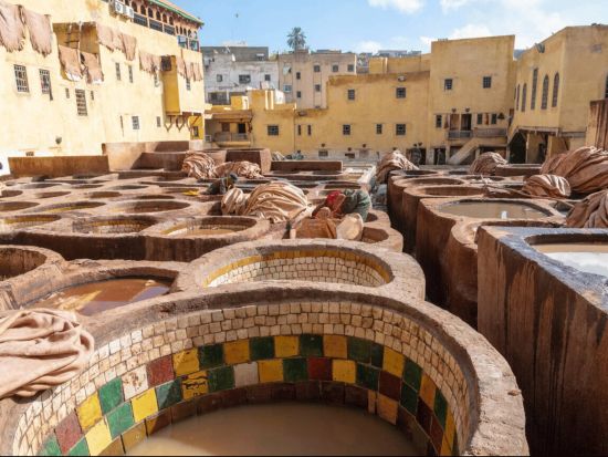 フェズ日帰り観光ツアー＜混載または貸切／英語ガイド／昼食／入場料込／カサブランカ発＞