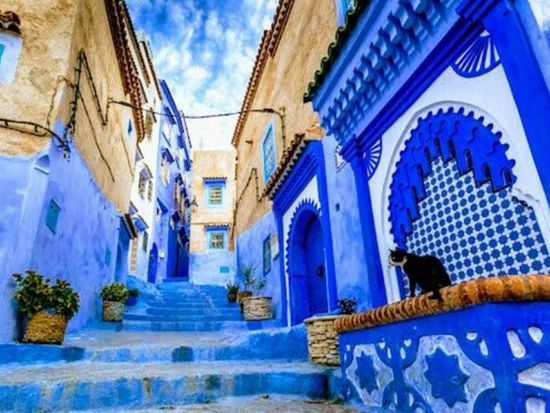 シャウエン日帰り観光ツアー！カサブランカ～タンジェ間は快適な高速列車で移動＜混載または貸切／英語ガイド／昼食／往復乗車券込／カサブランカ発＞