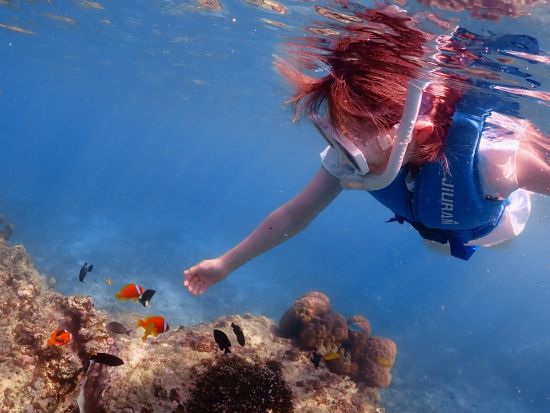 【貸切】シュノーケルツアー 万全なレクチャーで初心者も安心！美しい海の景色を楽しむマリンアクティビティ＜5歳から参加OK／宮古島or伊良部島＞