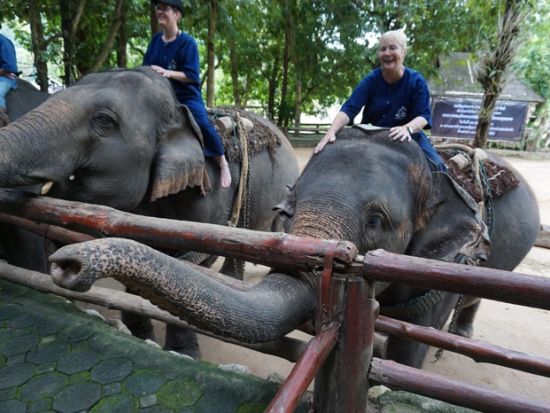 【チェンマイ発】古都ランパーン＆ランプーン1日観光ツアー　花馬車乗車体験付き＜貸切／ホテル送迎付／日本語ガイド＞