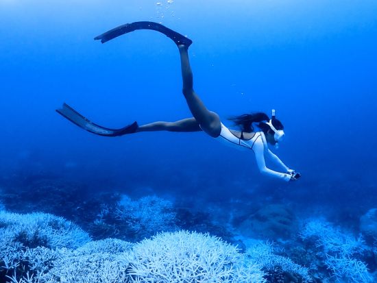 【貸切】スキンダイビング 初心者の方も経験者の方も大歓迎！海の中を深く潜り、海洋生物やサンゴ礁を間近で楽しむコース＜8歳から参加OK／宮古島or伊良部島＞