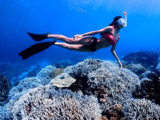 【貸切】スキンダイビング 初心者の方も経験者の方も大歓迎！海の中を深く潜り、海洋生物やサンゴ礁を間近で楽しむコース＜8歳から参加OK／宮古島or伊良部島＞