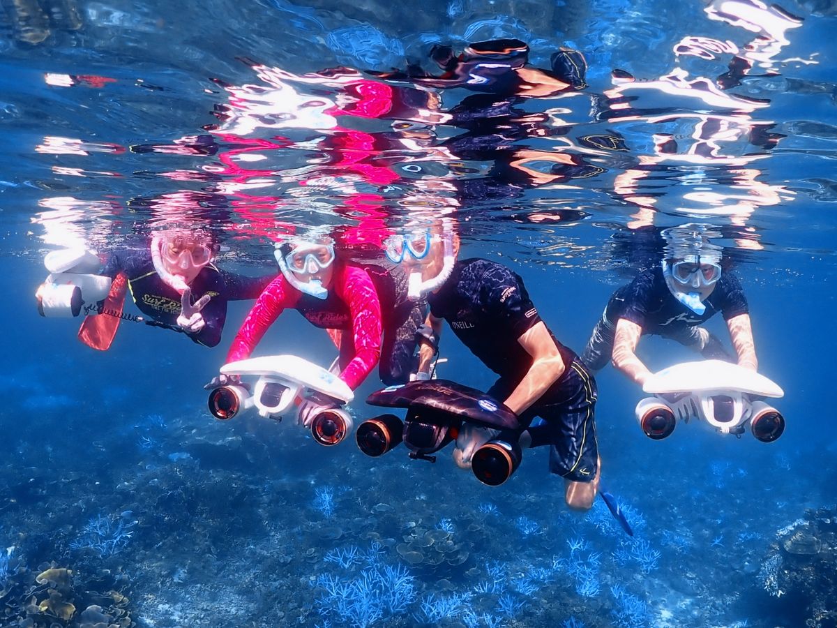 ダイビング | 宮古島 旅行の観光・オプショナルツアー予約 VELTRA