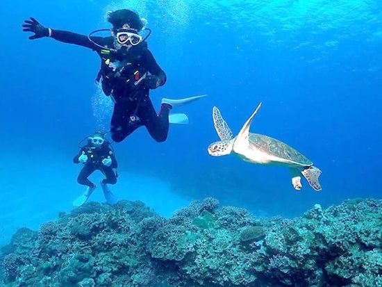 ダイビング | 沖縄本島 旅行の観光・オプショナルツアー予約 VELTRA