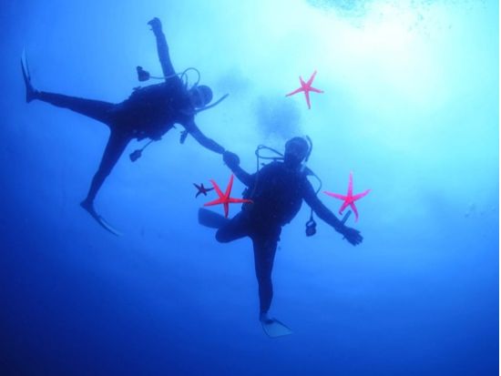 チービシファンダイビング  美しいサンゴ礁と海の生物に出会う冒険！＜半日／2ダイブ／那覇市内送迎無料／水中写真プレゼント／那覇市発＞