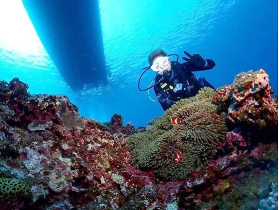 チービシ体験ダイビング 1ダイブor2ダイブから選択可能 透明度抜群の海でダイビングデビュー＜半日／那覇市内送迎無料／水中写真プレゼント／那覇市発＞