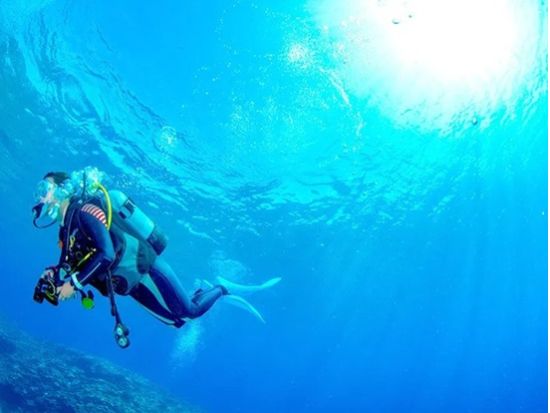 慶良間ファンダイビング 2ダイブor3ダイブから選択可能 透明度抜群のケラマブルーの海で海中探索！＜1日／那覇市内送迎無料／水中写真プレゼント／那覇市発＞