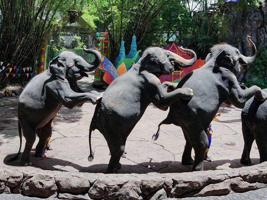 マリンパーク10