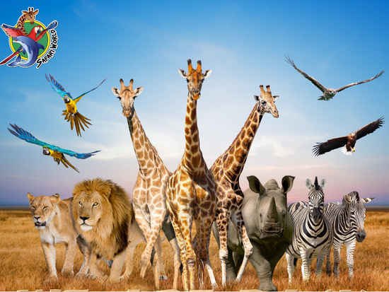 SAFARI WORLD3 (1)