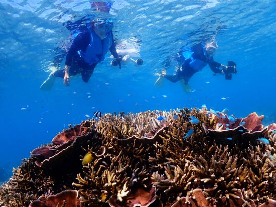 GPTempDownload(3) (1)