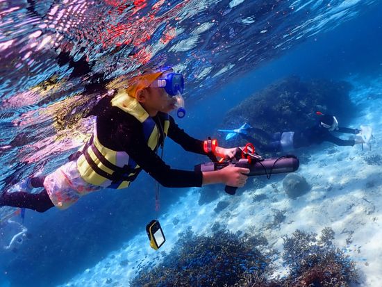 GPTempDownload(1) (1)