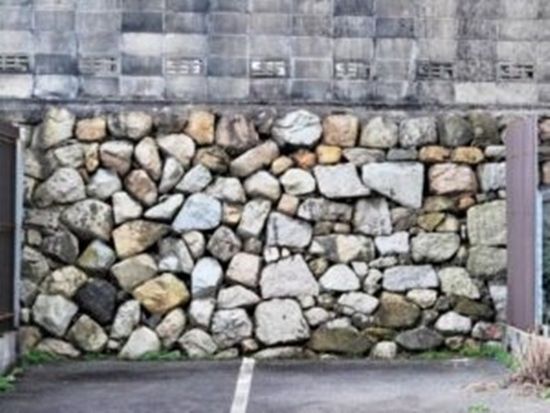 68b6246bd43e730dc457f0ee520f626f-1-e1708424074194-300x225