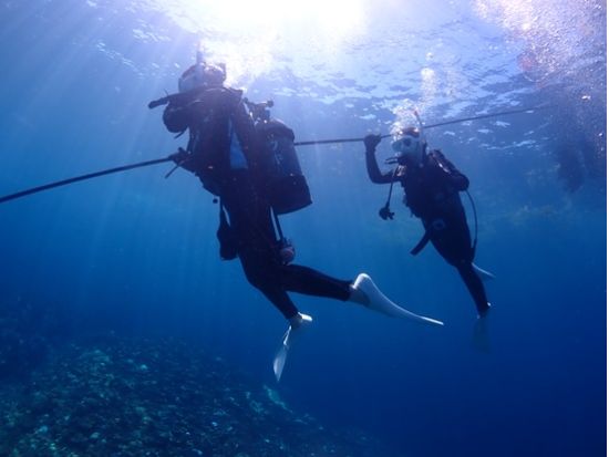 1日体験ダイビングツアー 透明度抜群の八重山の海でダイビングを満喫★写真・動画プレゼント＜昼食付き／1日／石垣発＞