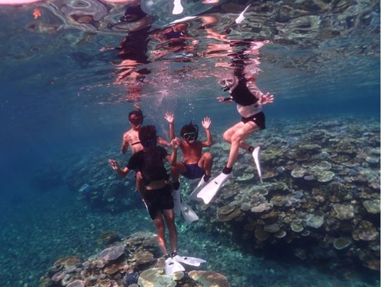 1日シュノーケリングツアー 石垣島・周辺離島から当日ベストな八重山の海を満喫！写真・動画プレゼント＜昼食付き／1日／石垣発＞
