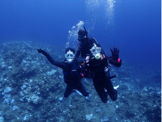 1日ファンダイビングツアー 石垣島・周辺離島の海で感動体験 透き通ったクリアな海でダイビングを楽しむ！写真・動画プレゼント＜昼食付き／1日／石垣発＞