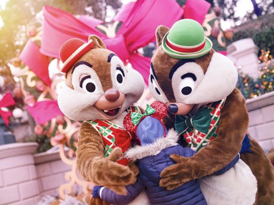 ディズニーランド・パリ　シャトルバス往復送迎＆パーク入場チケット 事前予約サービス ＜1パークまたは2パーク／英語／ベルシーエリア発＞