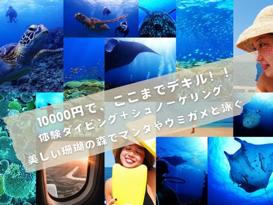 石垣島体験ダイビング 選べる4つのプランで石垣島の海を満喫 透明度抜群の海でダイビングデビュー＜半日or1日／写真データ込み／石垣島＞