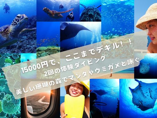 石垣島体験ダイビング 選べる4つのプランで石垣島の海を満喫 透明度抜群の海でダイビングデビュー＜半日or1日／写真データ込み／石垣島＞