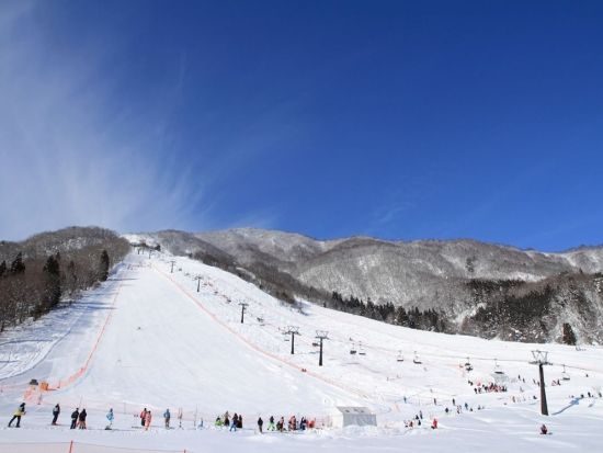 【現地購入よりお得】エイブル白馬五竜＆Hakuba47 リフト1・2・3日券+ギア ＜ウェアレンタル付プランあり／12月22日～3月31日／長野県＞