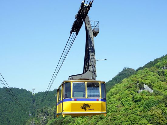 【当日予約可！事前予約100円割引】太龍寺ロープウェイ往復チケット 1級河川那賀川と2つの山を越える大型ロープウェイ＜徳島＞