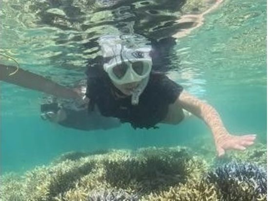 1日シュノーケリングツアー 石垣島・周辺離島から当日ベストな八重山の海を満喫！写真・動画プレゼント＜昼食付き／1日／石垣発＞