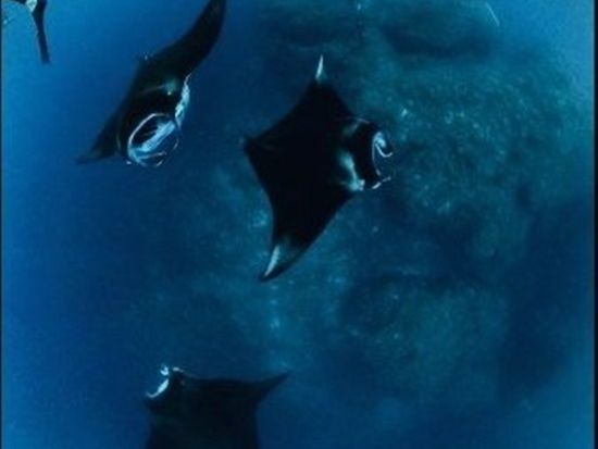 11000005536005_ScXBXyxi_4