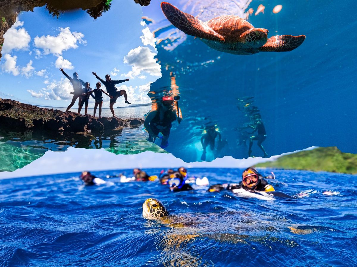 マーレ石垣島 | 石垣島・八重山の観光・オプショナルツアー専門予約