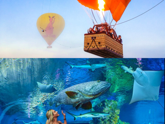 【期間限定】熱気球遊覧飛行＆ケアンズ水族館（Cairns Aquarium）入場チケット　1日で空からの大自然と海の世界を満喫！＜英語／ケアンズ＞