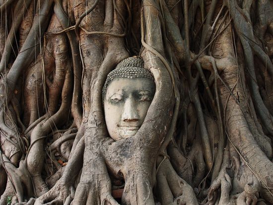 Ayutthaya_Wat Mahathat_shutterstock_182330453