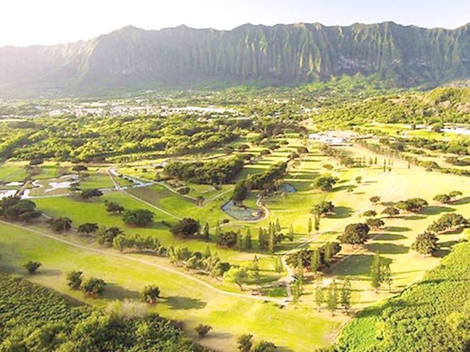 THPヨーヨー  ハワイ  ホノルル YOSHI HAWAIIAN TOURS INC | ハワイ（オアフ島(ホノルル)）観光