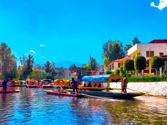 世界遺産ソチミルコ　半日観光ツアー　ゴンドラ船（小舟）で運河クルーズ＆ドリンクとパーティーを楽しむ＜午後／ドリンク付き／英語ガイド＞