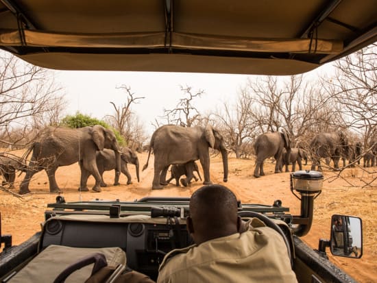 Botsuwana_Chobe National Park_shutterstock_502520005