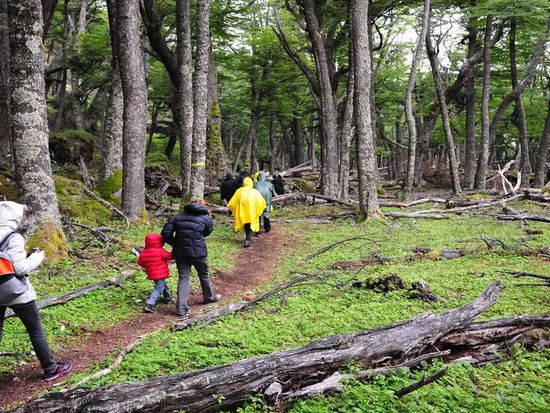trekking-en-el-chalten-desde-el-calafate_2090_201909160703371