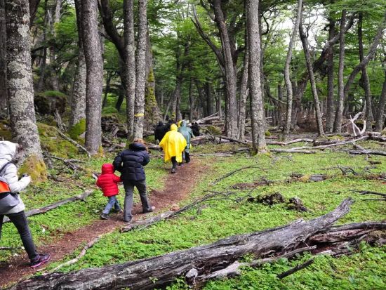 エル・チャルテン　ロス・グラシアレス国立公園 日帰りトレッキングツアー ＜昼食付き／英語ガイド／エル・カラファテ発＞