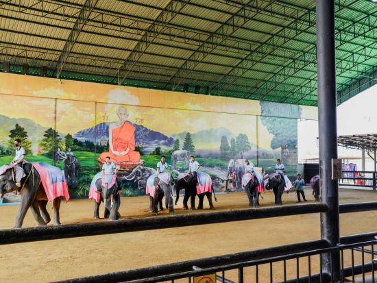 シーアユタヤ ライオンパーク「Sri Ayuttaya Lion Park」入場チケット事前予約＜送迎オプションあり＞