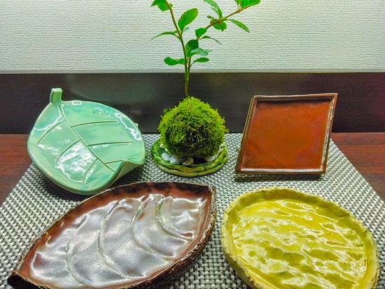 器で映える☆苔玉づくり、スケジュール欄の写真