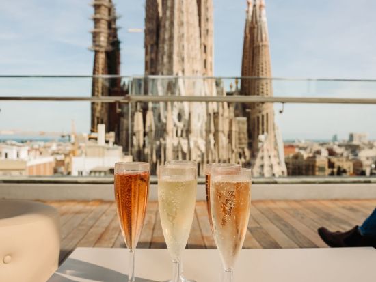 サグラダファミリアに乾杯！テラスでのカヴァ＆閉館直前のゆったり入場で楽しむサグラダファミリアツアー＜約2時間／英語ガイド＞