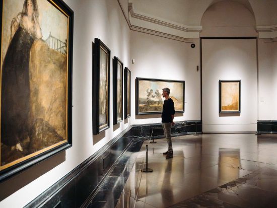 早朝入場！プラド美術館VIPアクセスツアー　開館前の静寂の中で名作を独占鑑賞＜英語ガイド／1時間40分＞